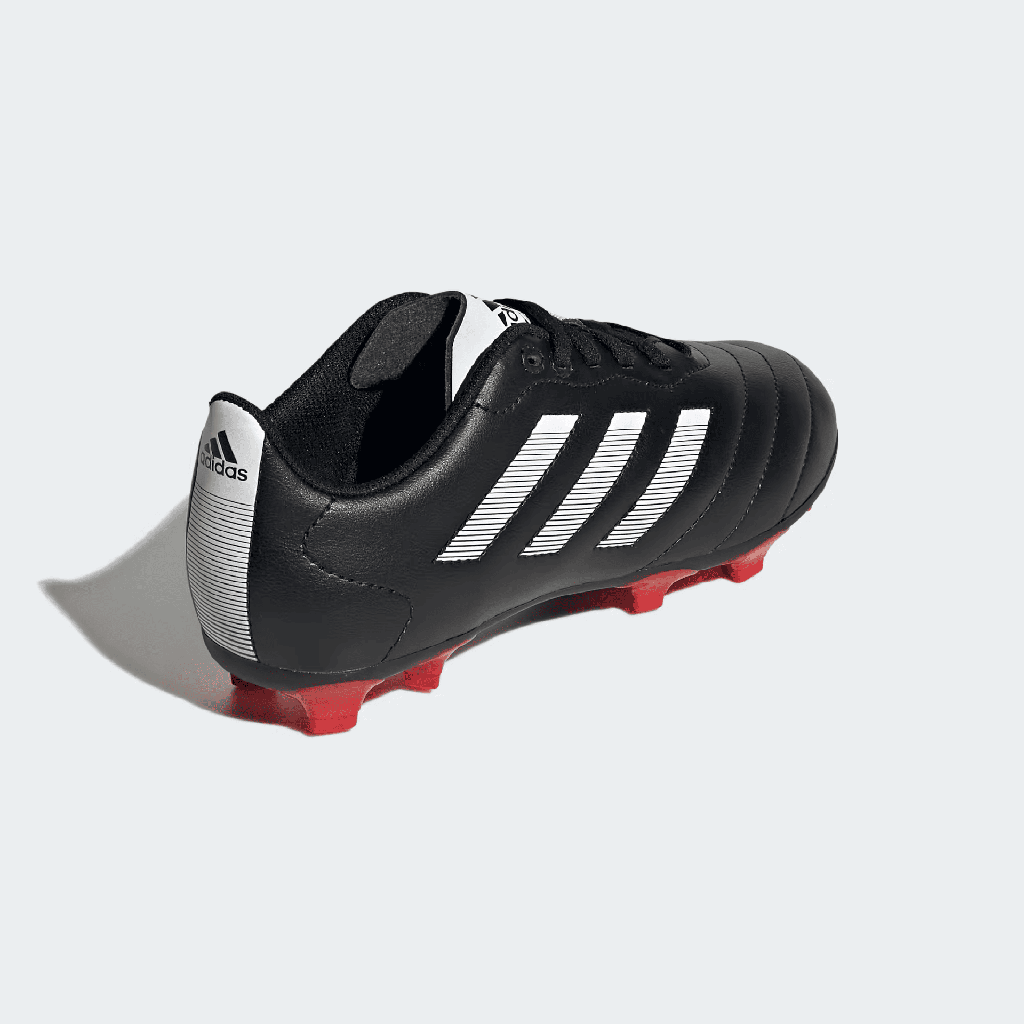 GOLETT VIII FG J