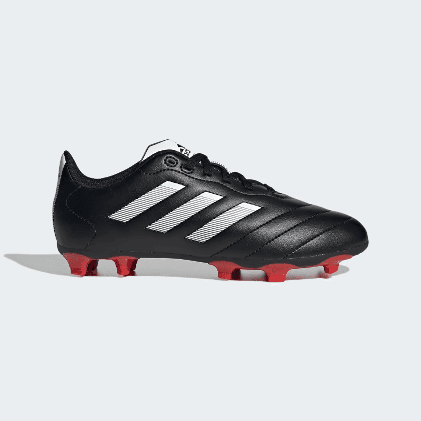 GOLETT VIII FG J